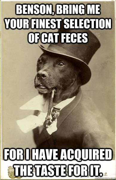 Benson, bring me your finest selection of cat feces for i have acquired the taste for it. - Benson, bring me your finest selection of cat feces for i have acquired the taste for it.  Old Money Dog