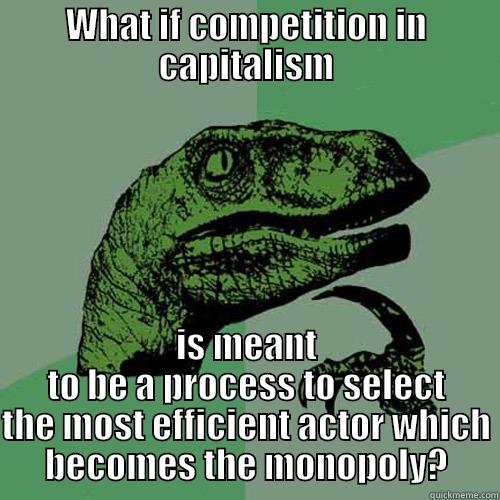 WHAT IF COMPETITION IN CAPITALISM IS MEANT TO BE A PROCESS TO SELECT THE MOST EFFICIENT ACTOR WHICH BECOMES THE MONOPOLY? Philosoraptor
