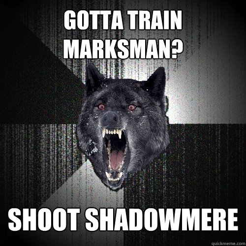GOTTA TRAIN MARKSMAN? SHOOT SHADOWMERE  Insanity Wolf