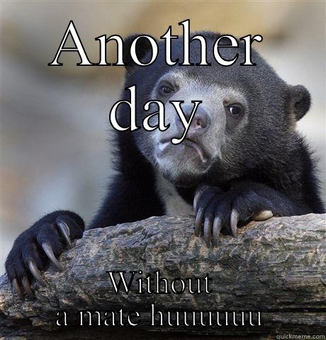 ANOTHER DAY WITHOUT A MATE HUUUUUU Confession Bear