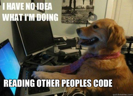 reading other peoples code  - reading other peoples code   I have no idea what Im doing dog