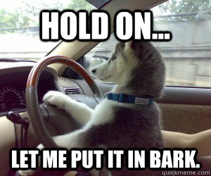 HOLD ON... LET ME PUT IT IN BARK.  Driving Dog