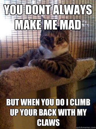 you dont always make me mad but when you do i climb up your back with my claws  The Most Interesting Cat in the World