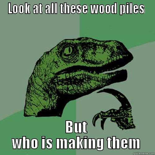 LOOK AT ALL THESE WOOD PILES BUT WHO IS MAKING THEM Philosoraptor