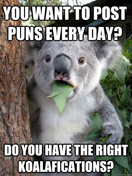 You want to post puns every day? Do you have the right koalafications? - You want to post puns every day? Do you have the right koalafications?  koala bear