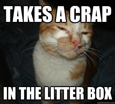 Takes a crap in the litter box  