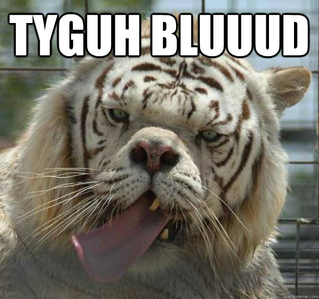 TYGUH BLUUUD   Kenny the Retarded Tiger