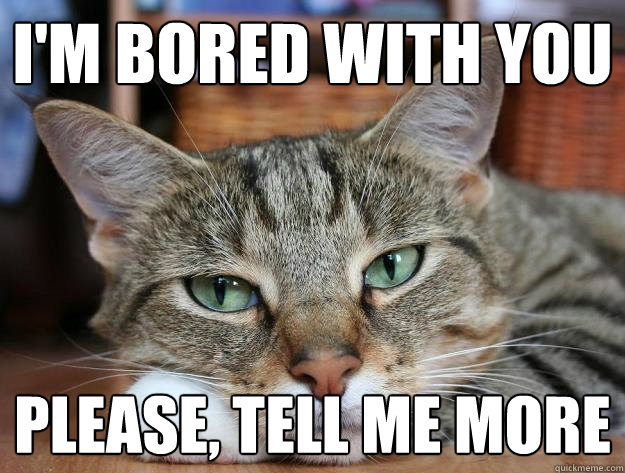 I'm bored with you please, tell me more  Bored cat