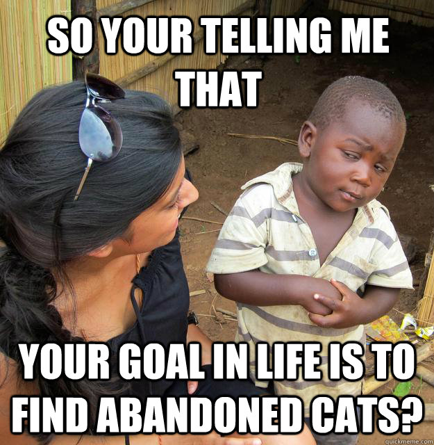 So your telling me that your goal in life is to find abandoned cats?  Skeptical Third World Kid