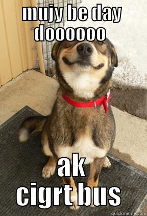 MUJY BE DAY DOOOOOO  AK CIGRT BUS  Good Dog Greg