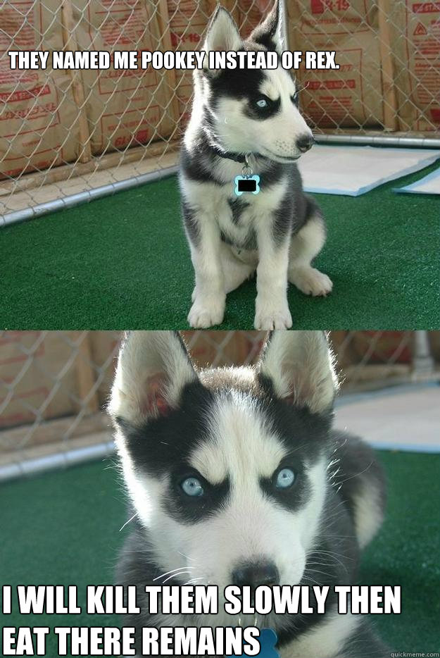 They named me Pookey instead of Rex.


 
I WILL KILL THEM SLOWLY THEN EAT THERE REMAINS   Insanity puppy