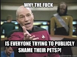why the fuck is everyone trying to publicly shame their pets?!  Annoyed Picard