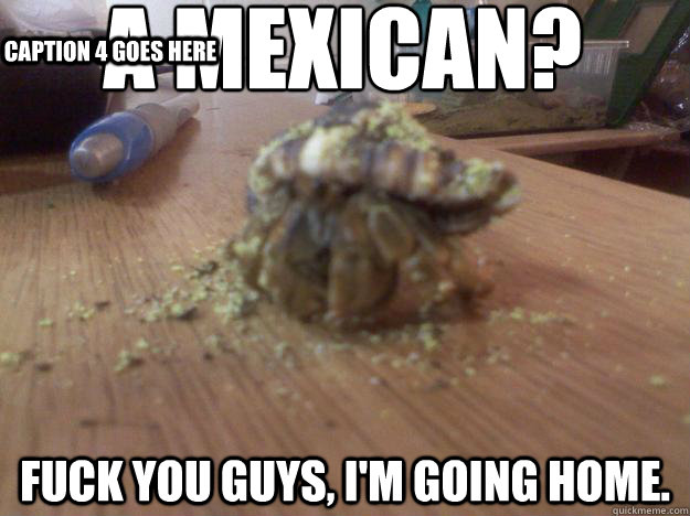 A mexican? Fuck you guys, I'm going home. Caption 3 goes here Caption 4 goes here  Hermit Crab