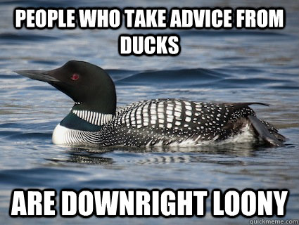 People who take advice from ducks Are downright loony - People who take advice from ducks Are downright loony  Irony Loon