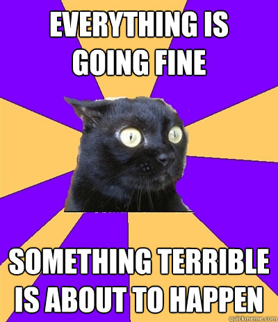 everything is going fine something terrible is about to happen - everything is going fine something terrible is about to happen  Anxiety Cat