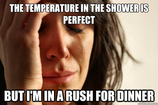 the temperature in the shower is perfect  but i'm in a rush for dinner  First World Problems