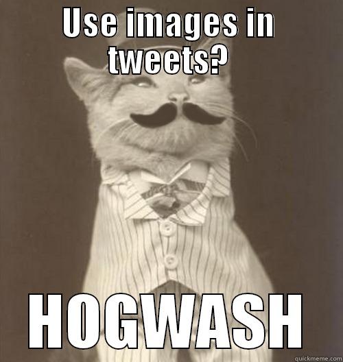 USE IMAGES IN TWEETS? HOGWASH Original Business Cat