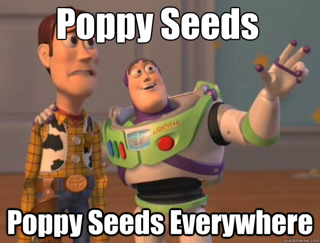Poppy Seeds Poppy Seeds Everywhere  Pinks everywhere