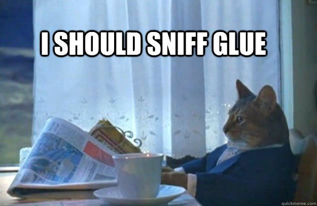 I should sniff glue - I should sniff glue  Sophisticated Cat