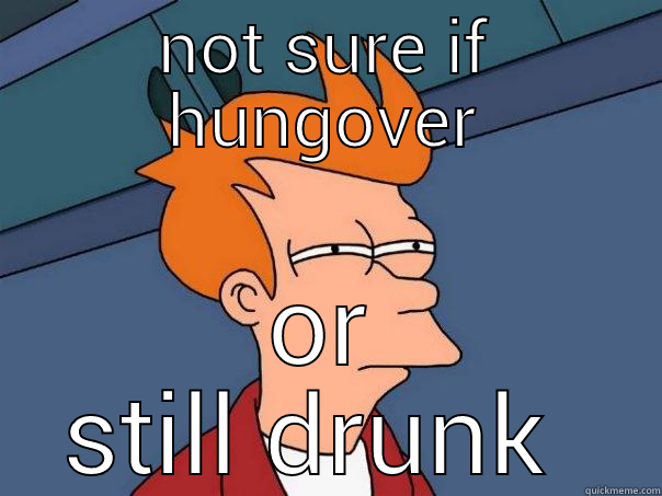 NOT SURE IF HUNGOVER OR STILL DRUNK  Futurama Fry