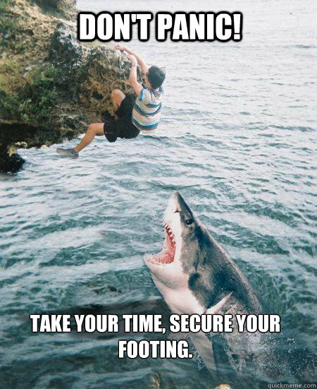 Don't panic! Take your time, secure your footing.  helpful shark