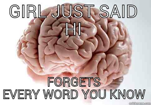 GIRL JUST SAID HI FORGETS EVERY WORD YOU KNOW Scumbag Brain