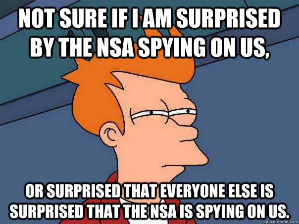 Not sure if I am surprised by the NSA spying on us, Or surprised that everyone else is surprised that the NSA is spying on us. - Not sure if I am surprised by the NSA spying on us, Or surprised that everyone else is surprised that the NSA is spying on us.  Futurama Fry