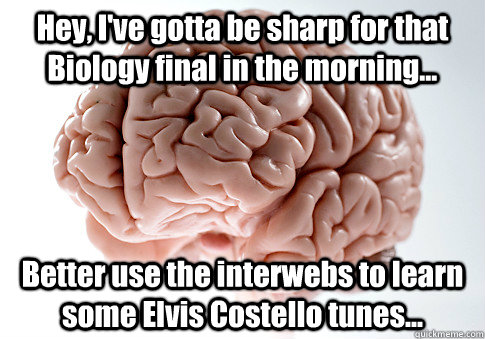 Hey, I've gotta be sharp for that Biology final in the morning... Better use the interwebs to learn some Elvis Costello tunes...   Scumbag Brain