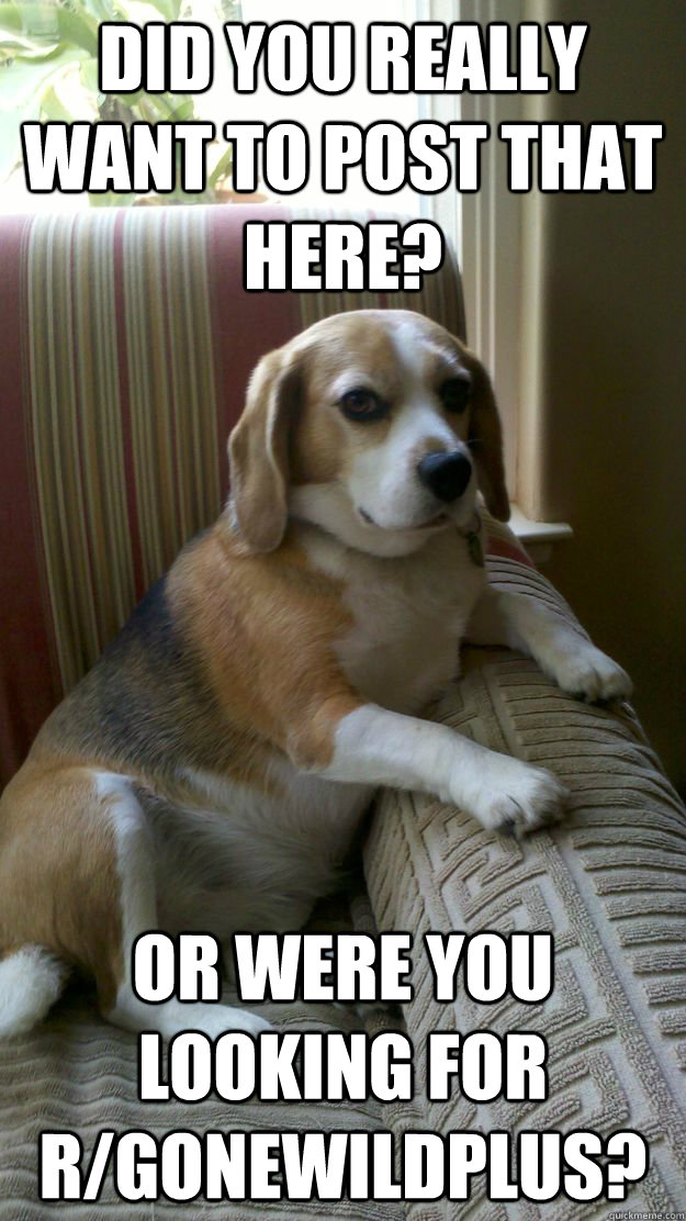 Did you really want to post that here? Or were you looking for r/Gonewildplus?  Judgement Dog