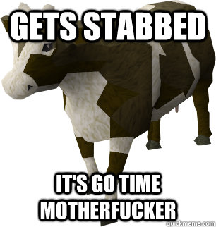 Gets stabbed It's go time motherfucker - Gets stabbed It's go time motherfucker  Runescape cow