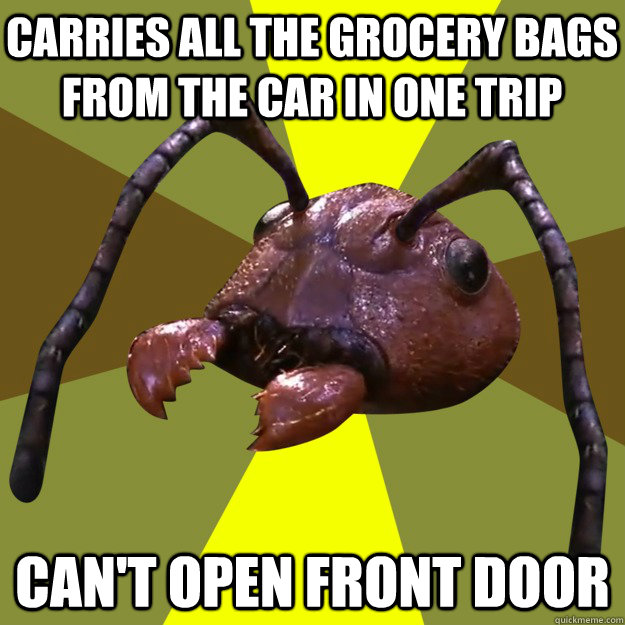 Carries all the grocery bags from the car in one trip Can't open front door  