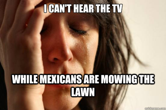 I can't hear the tv While mexicans are mowing the lawn  First World Problems