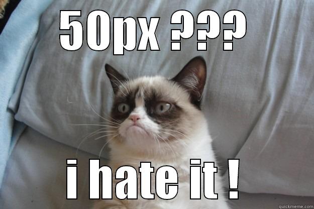 50PX ??? I HATE IT ! Grumpy Cat