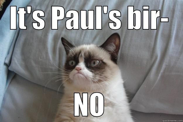 IT'S PAUL'S BIR- NO Grumpy Cat