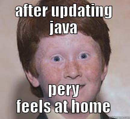 AFTER UPDATING JAVA PERY FEELS AT HOME Over Confident Ginger