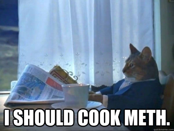  I should cook meth.  morning realization newspaper cat meme