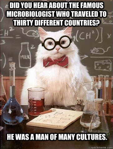Did you hear about the famous microbiologist who traveled to thirty different countries? He was a man of many cultures. - Did you hear about the famous microbiologist who traveled to thirty different countries? He was a man of many cultures.  Chemistry Cat