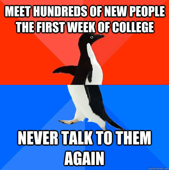 meet hundreds of new people the first week of college never talk to them again - meet hundreds of new people the first week of college never talk to them again  Socially Awesome Awkward Penguin