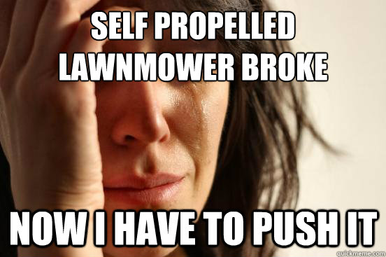 Self propelled lawnmower broke Now I have to push it  First World Problems