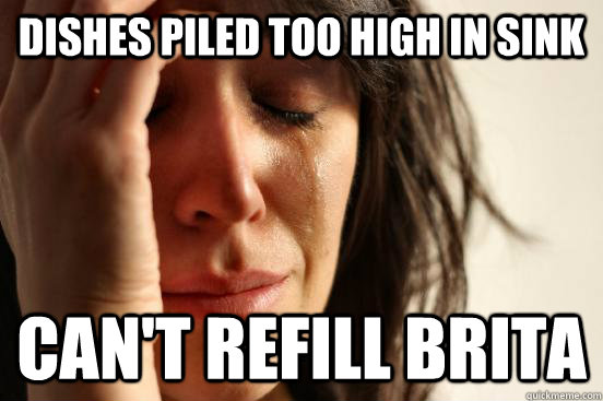 dishes piled too high in sink Can't refill brita  First World Problems
