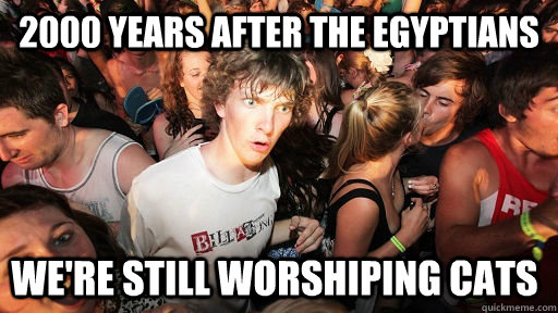 2000 years after the egyptians we're still worshiping cats  Sudden Clarity Clarence