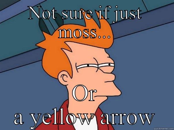 NOT SURE IF JUST MOSS... OR A YELLOW ARROW Futurama Fry