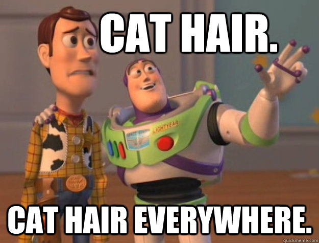        Cat hair. cat hair everywhere.  Buzz Lightyear