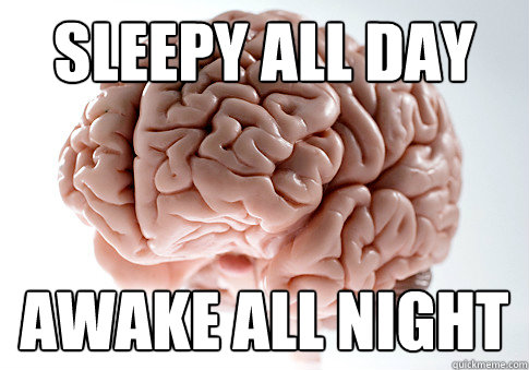 Sleepy all day Awake all night  Scumbag Brain
