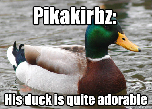 Pikakirbz: His duck is quite adorable  Actual Advice Mallard
