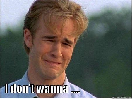                       I DON'T WANNA ....                         1990s Problems
