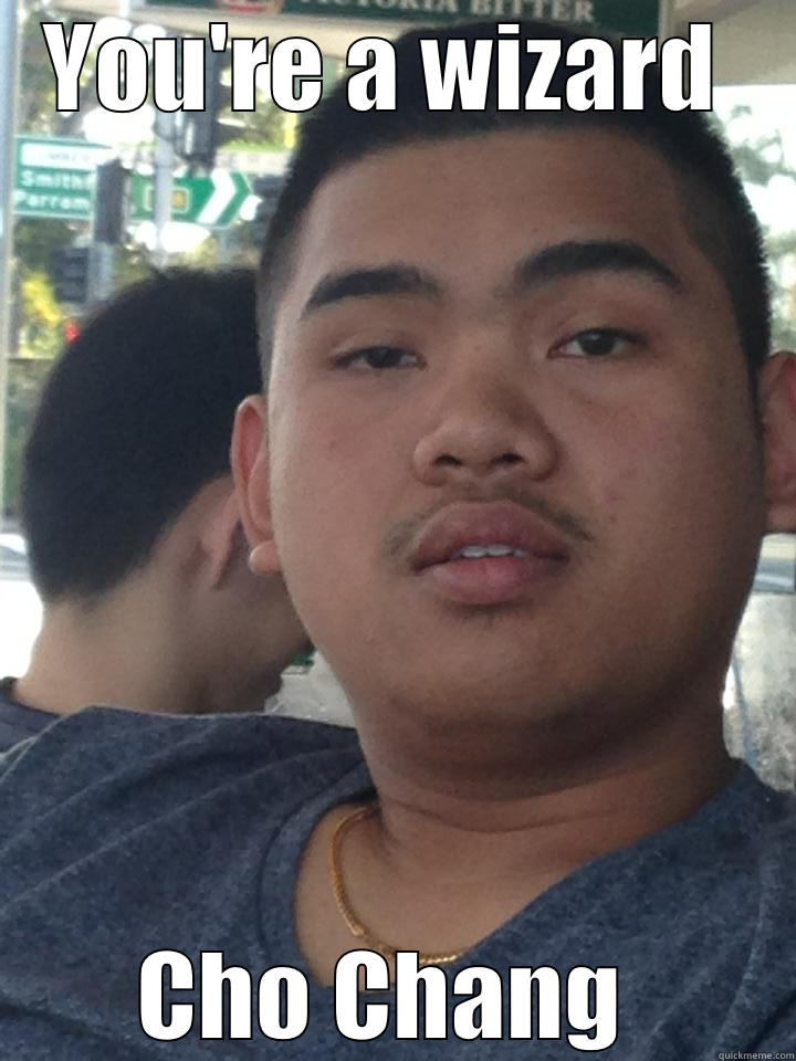 YOU'RE A WIZARD  CHO CHANG  Misc