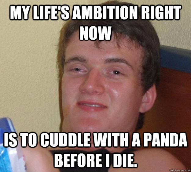 My life's ambition right now is to cuddle with a panda before i die.  10 Guy
