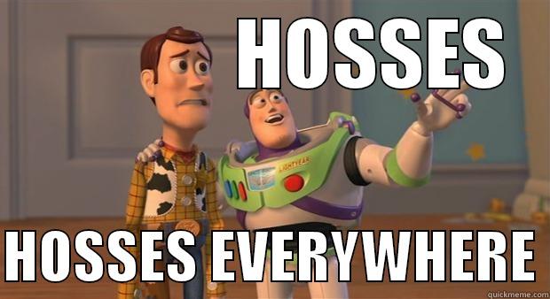              HOSSES  HOSSES EVERYWHERE Misc