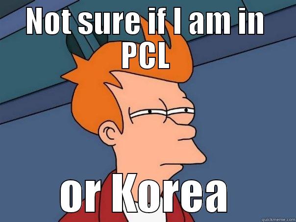 NOT SURE IF I AM IN PCL OR KOREA Futurama Fry